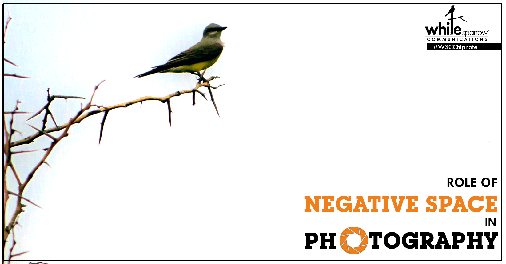 How to capitalize on Negative Space in Photography