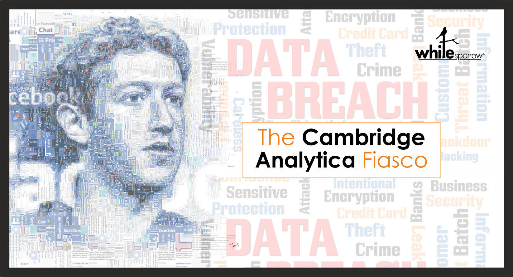 The Cambridge Analytica fiasco